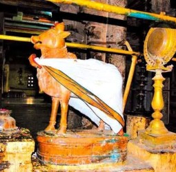 நின்ற கோலத்தில் நந்தி..!