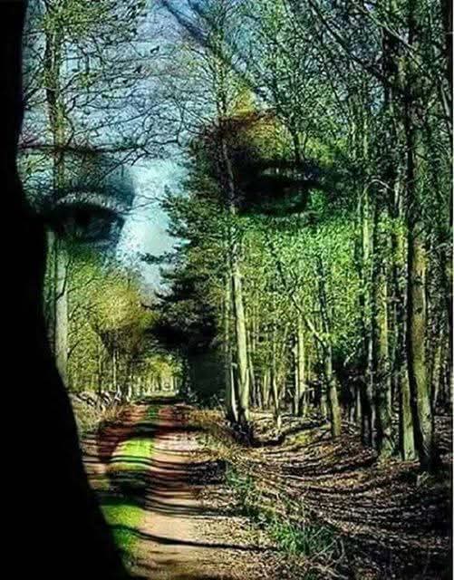 எனை நனைத்த மழை !