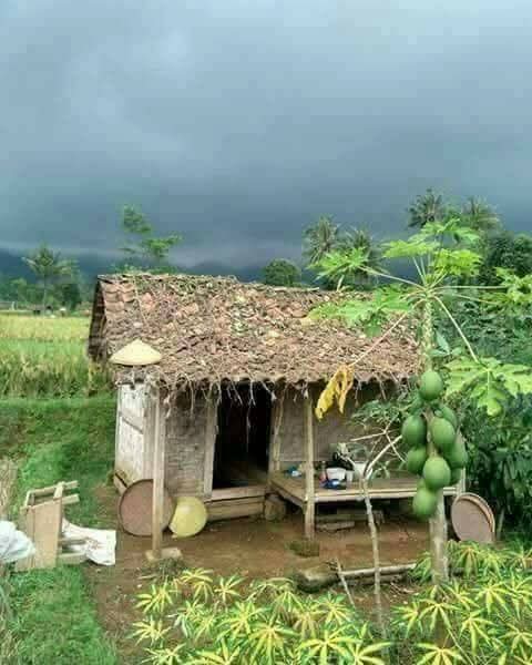 வயலுக்குள் வீடு