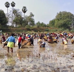 மார்க்கண்டேயன்பட்டி தாமரை கண்மாயில் நேற்று மீன்பிடித் திருவிழா