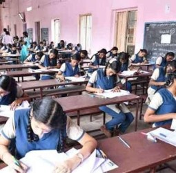 10, 12 ஆம் வகுப்பு பொதுத்தேர்வு: நாகை மாவட்டம் மாநிலத்தில் சிறப்பிடம் பெற கலெக்டர் வாழ்த்து