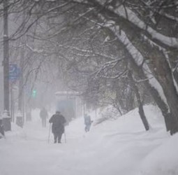 ஜப்பானில் கடும் பனிப்பொழிவு: 35 ஆக உயர்ந்த பலி: 393 பேர் காயம்!