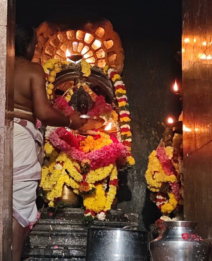 சிறப்பு அலங்காரத்தில் எழுந்தருளிய சுப்பிரமணிய சுவாமி