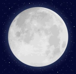 பகல் நிலவு...