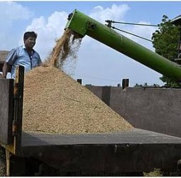 நேரடி நெல் கொள்முதல் நிலையங்களில் வெளி மாவட்ட நெல் விற்பனை செய்வதால் நடவடிக்கை: திருவள்ளூர் கலெக்டர் எச்சரிக்கை