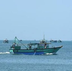 தமிழக, காரைக்கால் மீனவர்கள் 9 பேர் விடுதலை