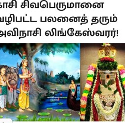 *காசி சிவபெருமானை வழிபட்ட பலனைத் தரும் அவிநாசி லிங்கேஸ்வரர்!*