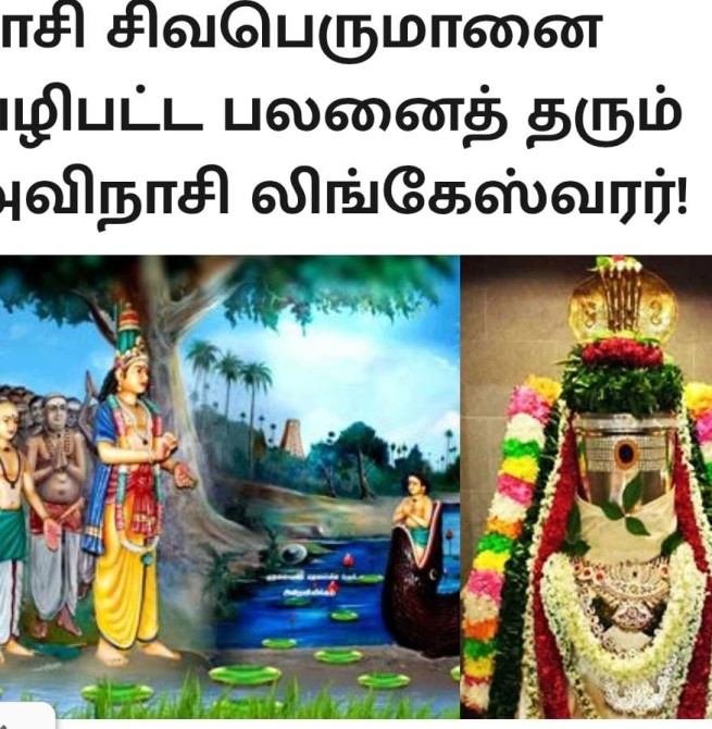 *காசி சிவபெருமானை வழிபட்ட பலனைத் தரும் அவிநாசி லிங்கேஸ்வரர்!*