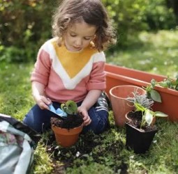 சிறுமலர் செடி வளர்ப்போம்