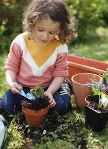 சிறுமலர் செடி வளர்ப்போம்