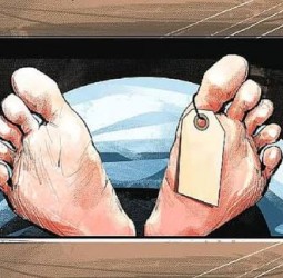 குஜராத்: சிங்கத்தைப் பிடிக்கும் முயற்சியில் மயக்க ஊசி பாய்ந்து வன ஊழியா் உயிரிழப்பு