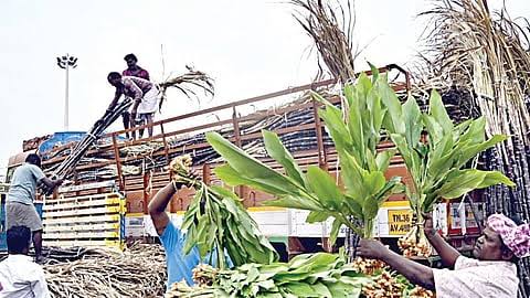 கோயம்பேட்டில் குவிந்த கரும்புகள்: ஒரு கட்டு ரூ.300 முதல் ரூ.600 வரை விற்பனை