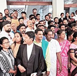 அலங்காநல்லூர் ஜல்லிக்கட்டு போராட்ட வழக்கில் இருந்து 56 பேர் விடுதலை