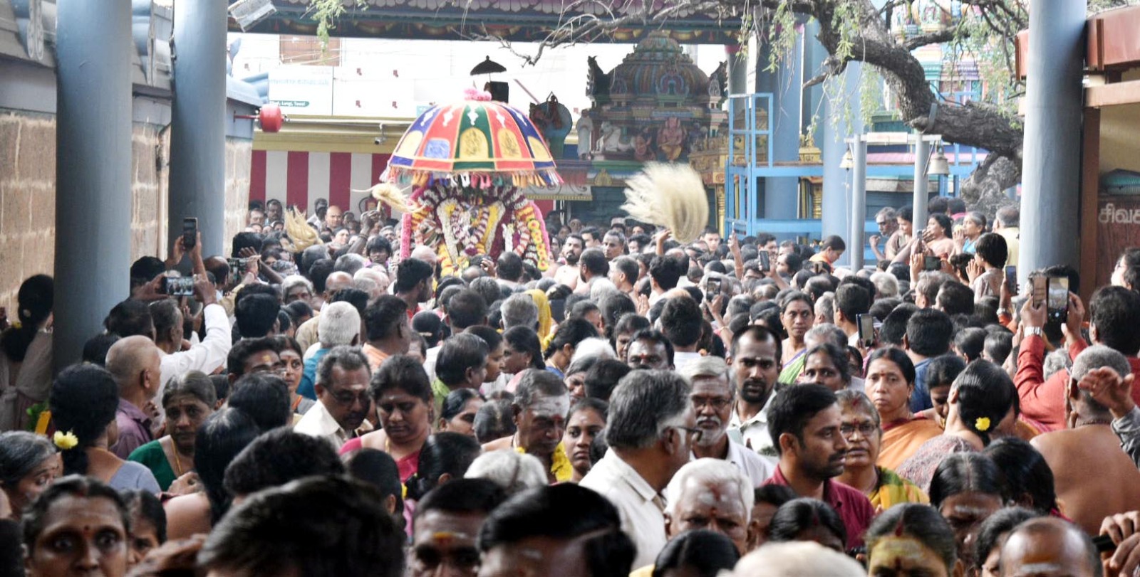 ஆருத்ரா தரிசன விழாவில் நடராஜரை வழிபட்ட பக்தர்கள்