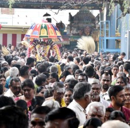 ஆருத்ரா தரிசன விழாவில் நடராஜரை வழிபட்ட பக்தர்கள்