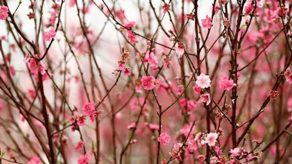 புத்தாண்டில் மாற்றங்கள் மலர வேண்டும்