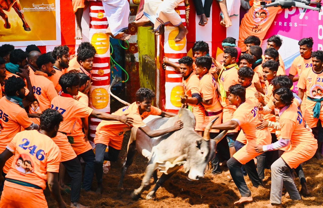 அலங்காநல்லூரில் நேற்று நடந்த ஜல்லிக்கட்டில் காளைகளை அடக்கிய இளைஞர்களை முதல்வர் ஸ்டாலின் வாழ்த்தினார்