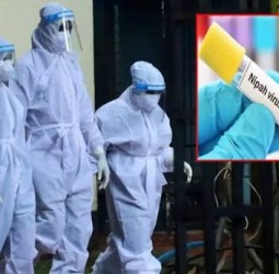 மேற்கு வங்காளத்தில் நிபா வைரசின் பரவல் அதிகரிப்பு; வீட்டில் தனிமைப்படுத்தப்பட்ட 120 பேர்