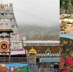 திருப்பதி செல்பவர்கள் கண்டிப்பாக பார்க்க வேண்டிய 7 அழகான இடங்கள்!