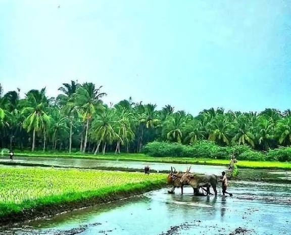 ஜன.9 தென்காசியில் விவசாயிகள் குறைதீர் கூட்டம்