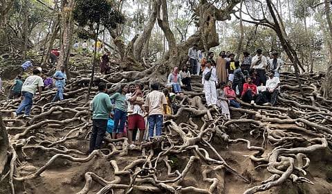 கொடைக்கானல்: ஜன.12 முதல் வனத்துறை சுற்றுலா இடங்களுக்கு நுழைவுக் கட்டணம் ஆன்லைனில் மட்டுமே வசூல்!