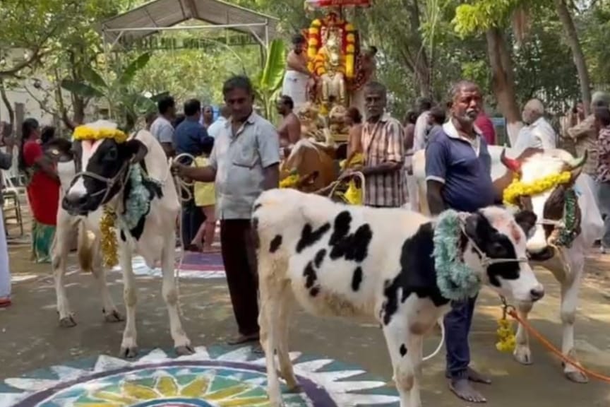 குதிரை வாகனத்தில் பரிவேட்டை மைதானத்துக்கு வந்த ஸ்ரீ மலையப்ப சுவாமி