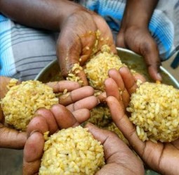 "ஒரு உருண்டை சாதம்"