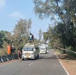 தனுஷ்கோடியில் பக்தர்கள் வேன் மீது விழுந்த மரம்