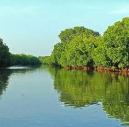 எங்கள் ஊர்