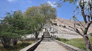 திருப்பரங்குன்றம் கல்லத்தி மரத்தில் சட்டவிரோதமாக கொடி கட்டியவர்கள் மீது வழக்கு