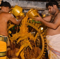 பேரூர் பட்டீசுவரர் கோயிலில் ஆருத்ரா தரிசன விழா