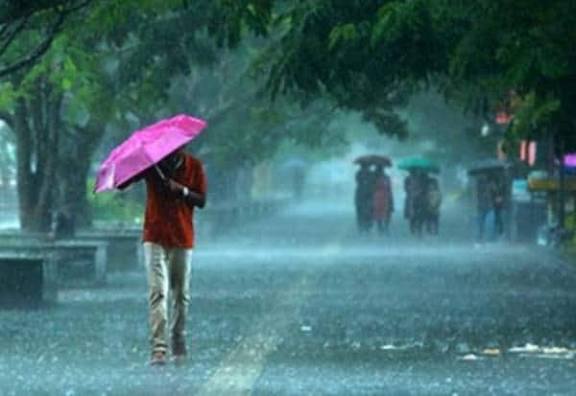 மழையின் ஆரவாரம்