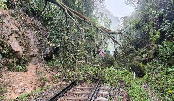 உதகை, குன்னூரில் கனமழை: 16 இடங்களில் மண் சரிவு மலை ரயில் ரத்து