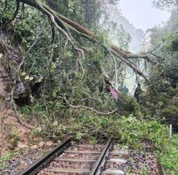 உதகை, குன்னூரில் கனமழை: 16 இடங்களில் மண் சரிவு மலை ரயில் ரத்து