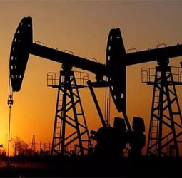 வெனிசுலாவில் தனியார் எண்ணெய் கம்பெனிகளுக்கு அனுமதி - மந்திரிசபை ஒப்புதல்