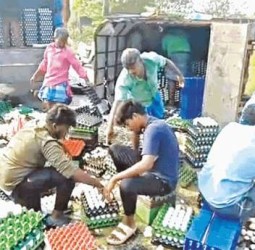 விழுப்புரம் அருகே சரக்கு வாகனம் கவிழ்ந்து ரூ.1 லட்சம் முட்டைகள் சேதம்