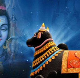 நந்தியின் குறுக்கே போகக்கூடாது என்பதின் சூட்சுமம்