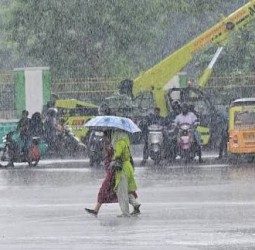 வானிலை முன்னெச்சரிக்கை: தமிழகத்தின் 14 மாவட்டங்களில் கனமழை வாய்ப்பு!