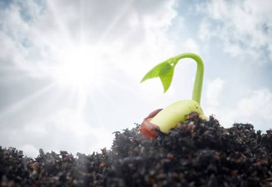 உண்மை உறங்குவதில்லை