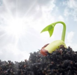 உண்மை உறங்குவதில்லை