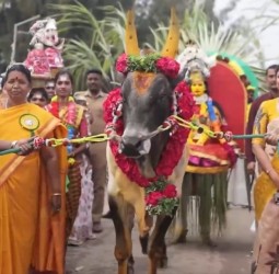 இலுப்பூர் மதர்தெரசா கல்லூரி வளாகத்தில் நடந்த பொங்கல் விழா
