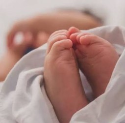 ஆந்திராவில் ஒரே பிரசவத்தில் 3 குழந்தைகளை பெற்றெடுத்த இளம்பெண்