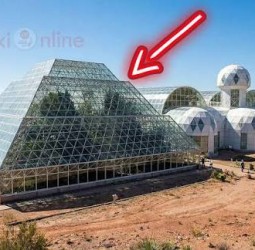 செவ்வாய் கிரகத்தில் வாழ ஆசைப்பட்டு பூமியில் சிக்கிக்கொண்ட கதை!