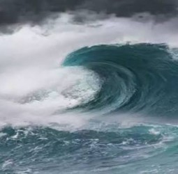 ஜப்பானில் இன்று அதிகாலை ஏற்பட்ட சக்திவாய்ந்த நிலநடுக்கம்: சுனாமி அச்சம்