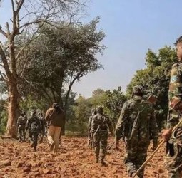 சத்தீஷ்காரில் மேலும் 29 நக்சலைட்டுகள் சரண்