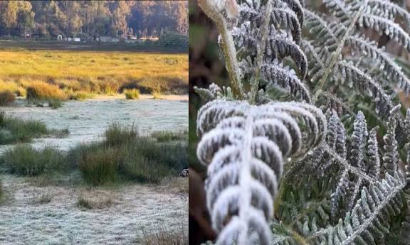 கொடைக்கானலில் மீண்டும் உறைபனி