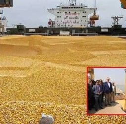 60 ஆயிரம் டன் உயர்தர அமெரிக்க கோதுமை வங்காளதேசம் சென்றடைந்தது