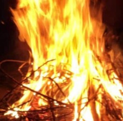 பொசுங்கட்டும் போகியில்