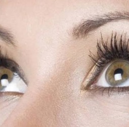 பார்வை...