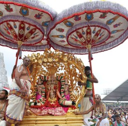 ஒரே நாளில் 7 வாகனங்களில் மலையப்ப சுவாமி மாட வீதிகளில் பவனி